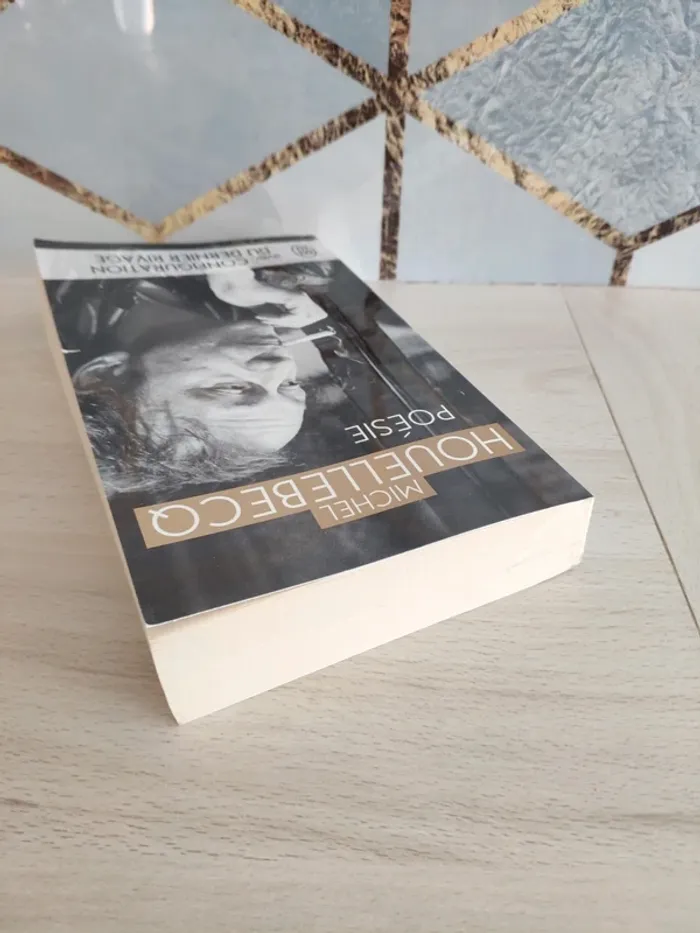 Livre poche poésie Houellebecq j'ai lu avec configuration du dernier rivage - photo numéro 4