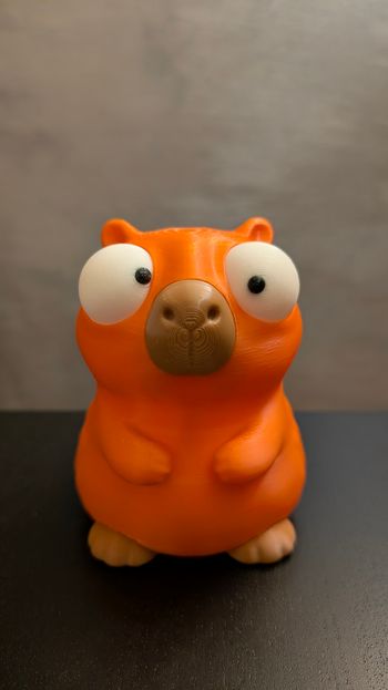 Capybara rigolo