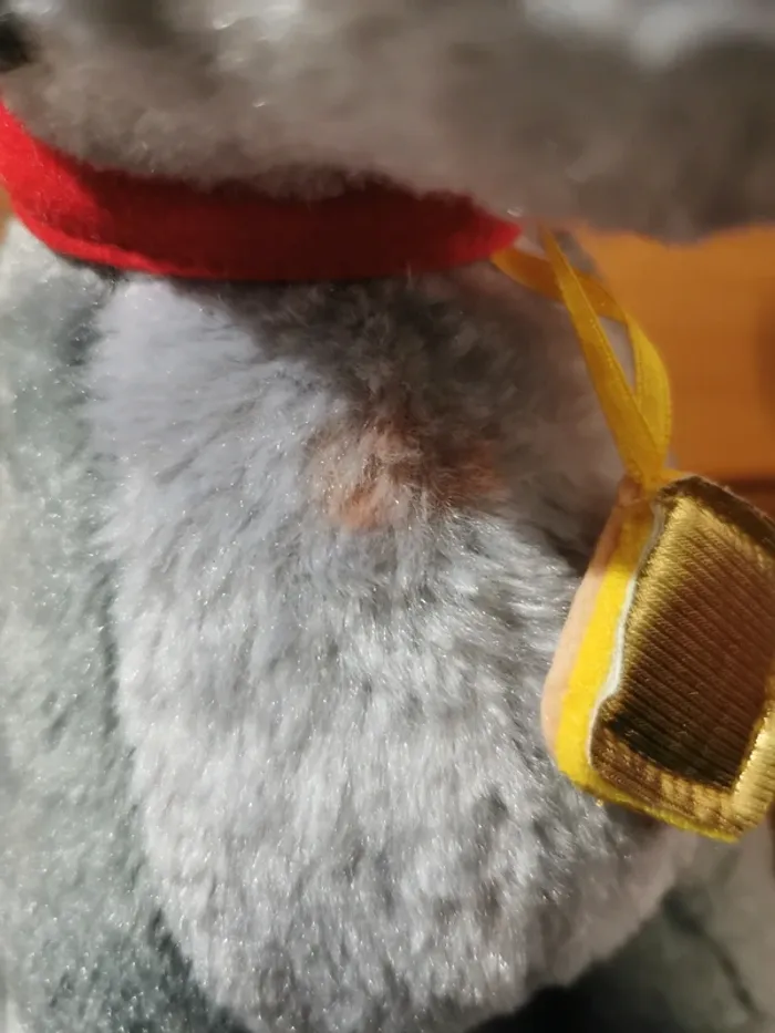 Peluche le clochard. - photo numéro 2