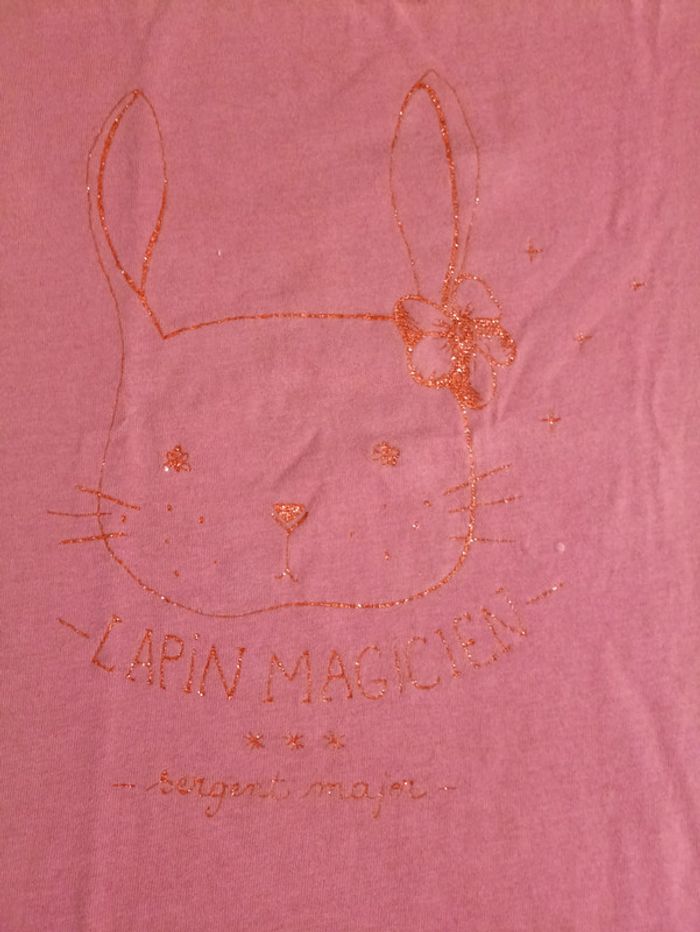 TS ML sergent major 5 ans - photo numéro 2