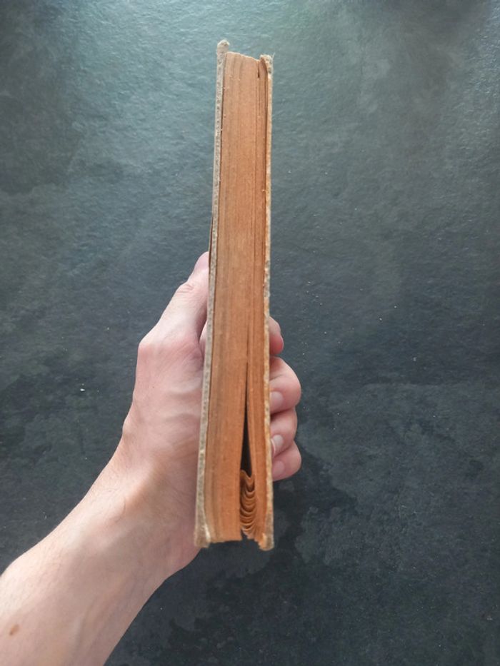 L'histoire d'une toute petite fille - photo numéro 4