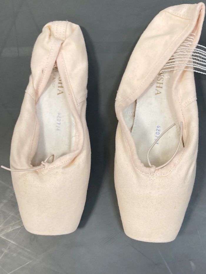Pointes Sansha