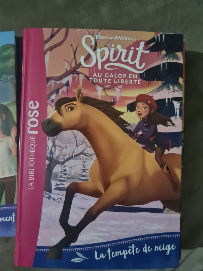 Spirit livre - photo numéro 2