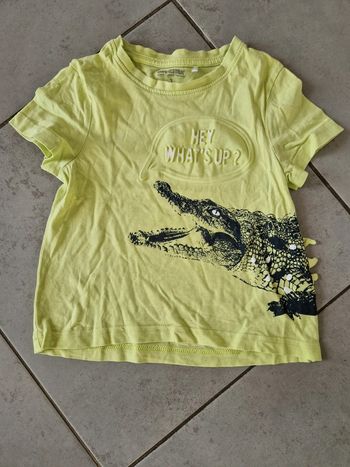 Tee-shirt crocodile