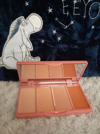 Palette 4 fard à blush Bellapierre neuf