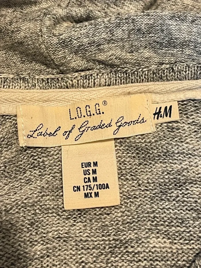 Pull à capuche gris LOGG de H&M - T. M - photo numéro 5