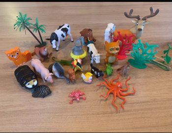 Animaux
