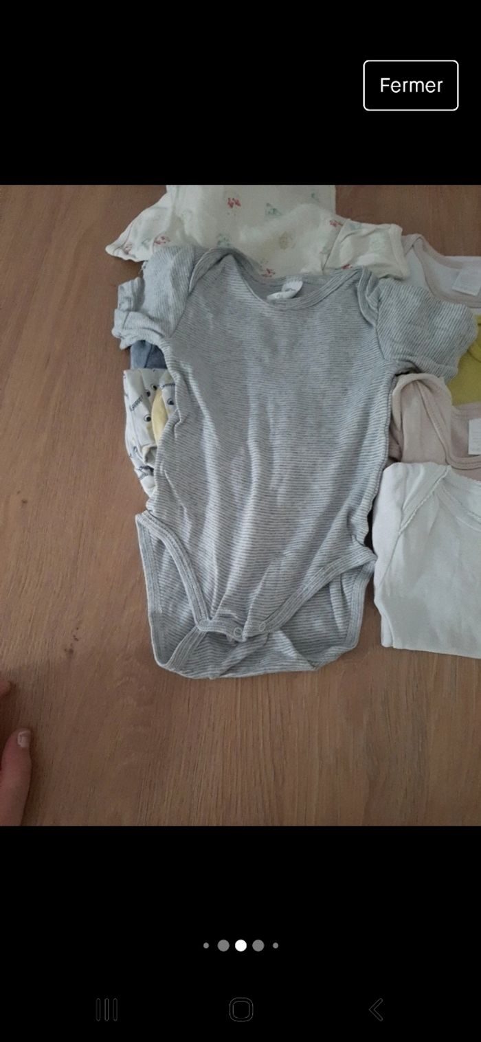 Lot de 12 bodys manches courtes taille 12 mois - photo numéro 8