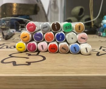 Lot 17 feutres à alcool MONALI incluant 1 feutre spécial dégradé 