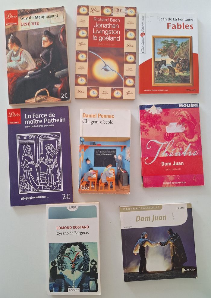 Lot de 8 livres étudiés au collège