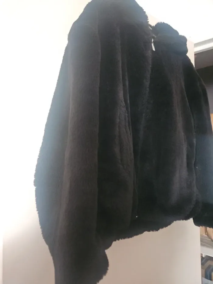Manteau - photo numéro 3