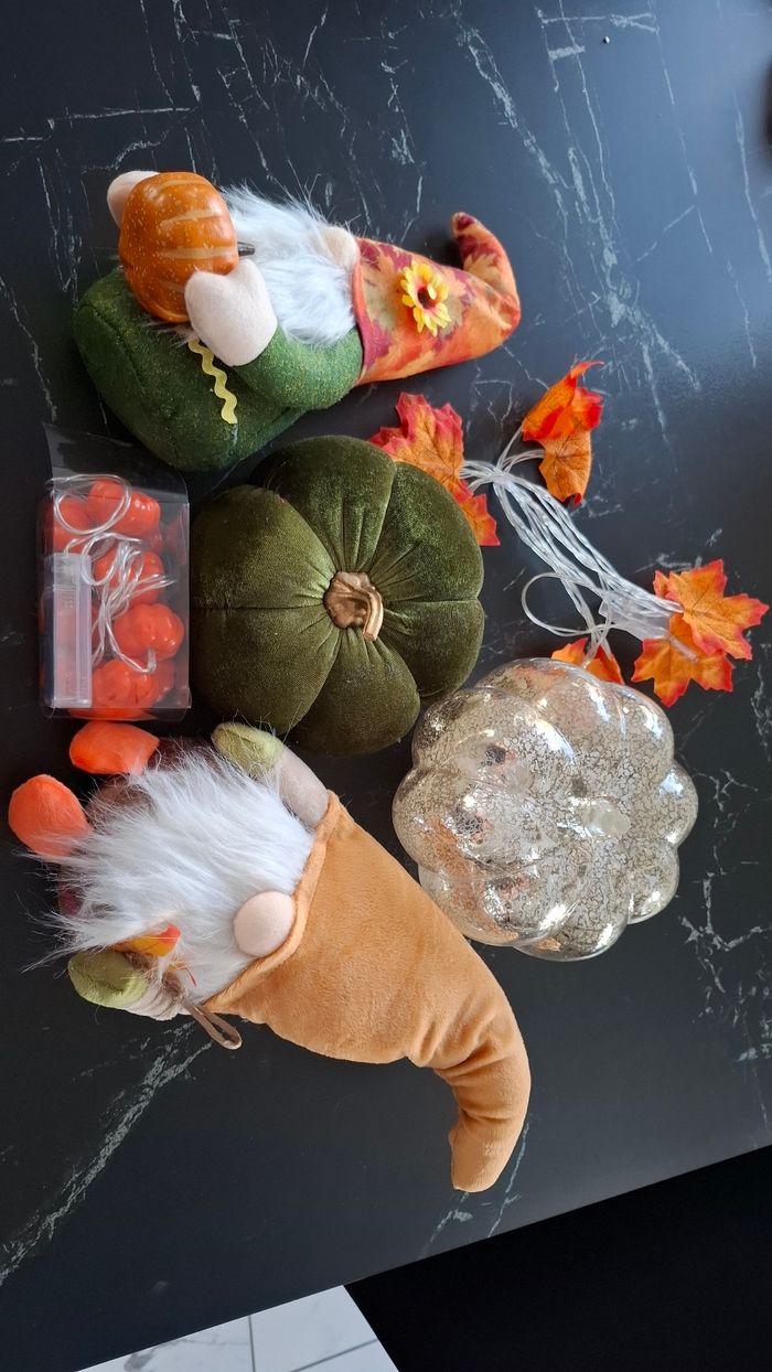 Lot déco décoration automne citrouille guirlande gnome