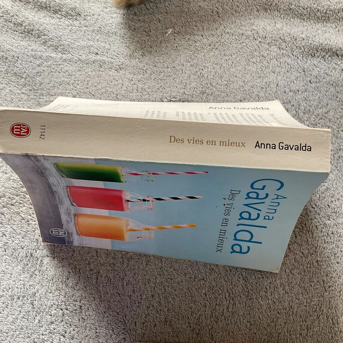 #des vies en mieux Anna Gavalda - photo numéro 4