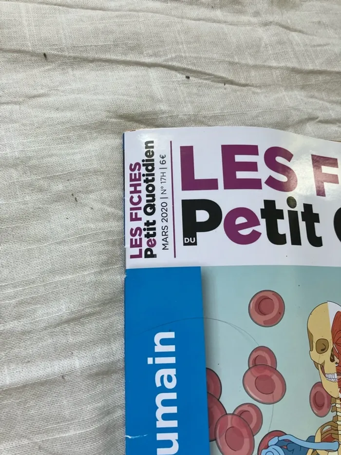 Fiches pédagogiques – Le Petit Quotidien (n°17H, mars 2020) - photo numéro 3