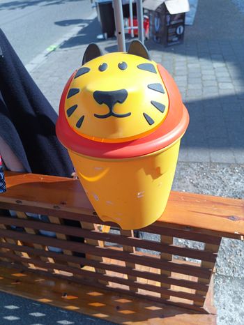 Boite de rangement lion