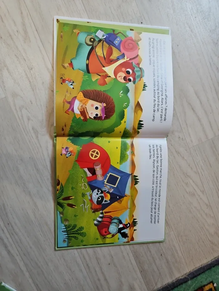 Livre enfant en camping - photo numéro 2