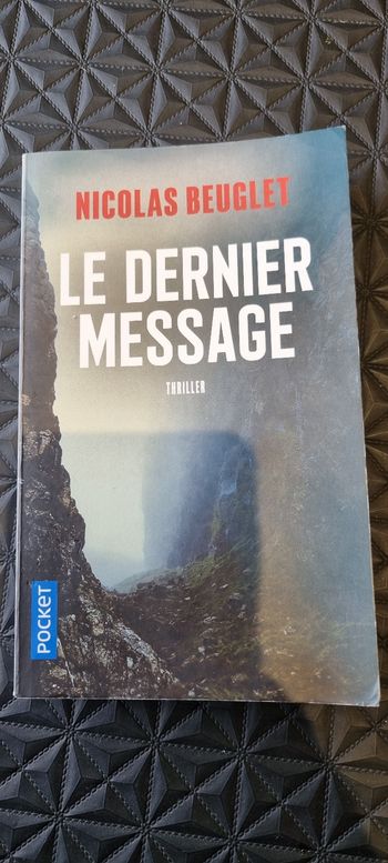 Le dernier message - Nicolas Beuglet