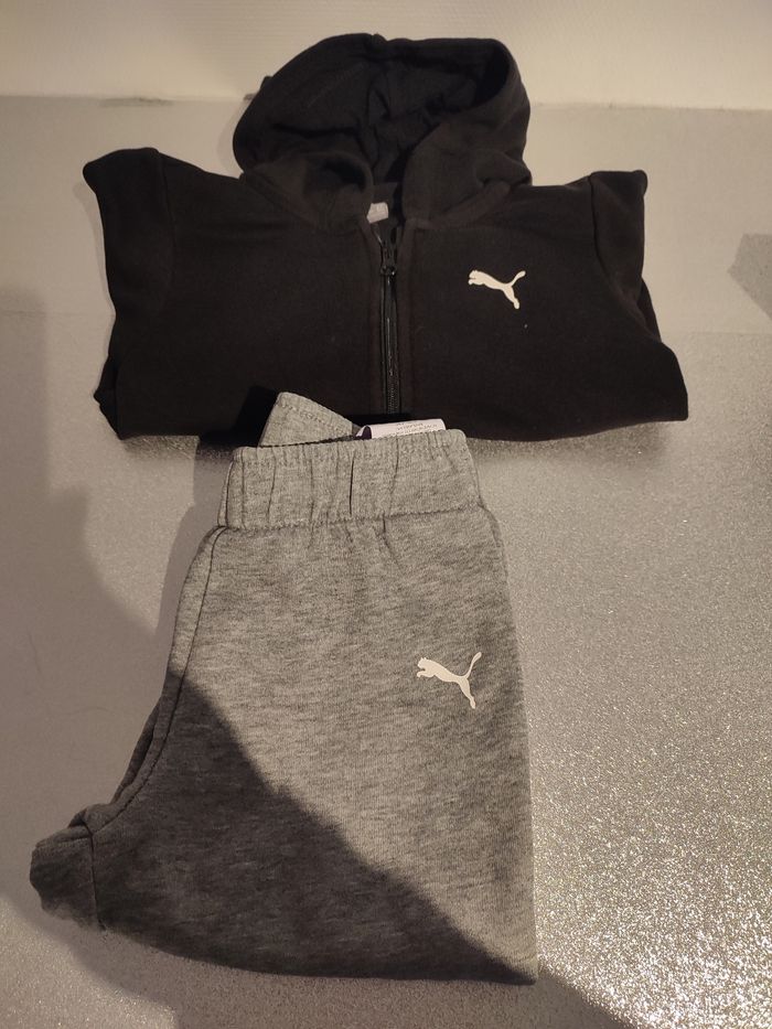 Ensemble puma