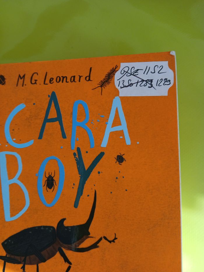 livre scara boy - photo numéro 3