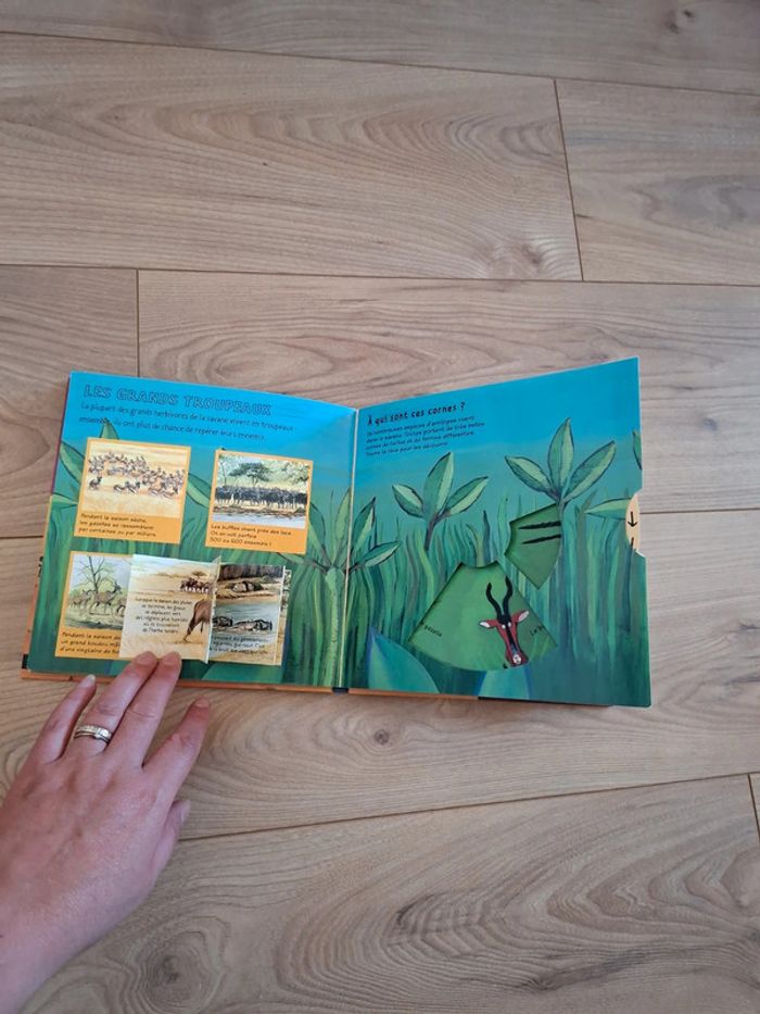 Livre kididoc - photo numéro 4