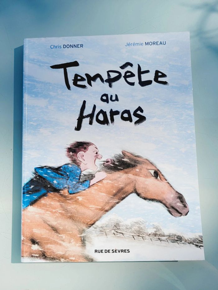 Livre enfant couverture souple Tempête au Haras, l'école des loisirs (11)