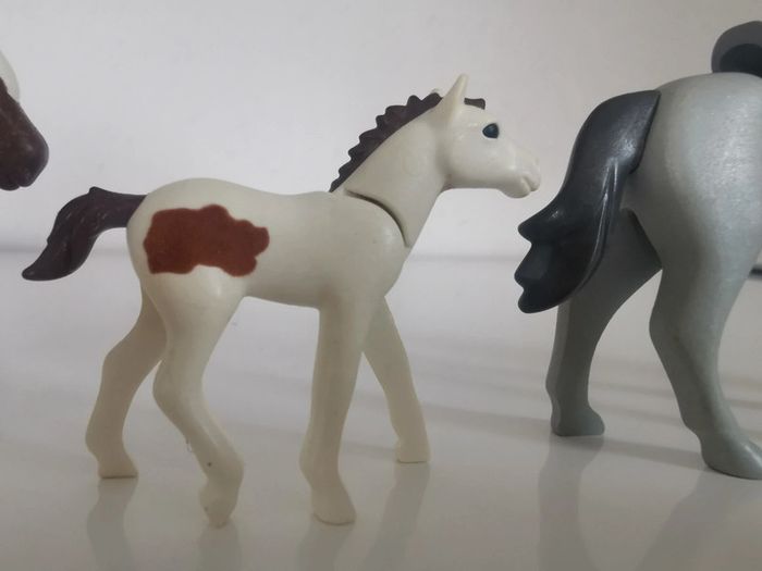 Playmobil lot animaux personnage cheval poney poulain cavalière écuyere - photo numéro 4