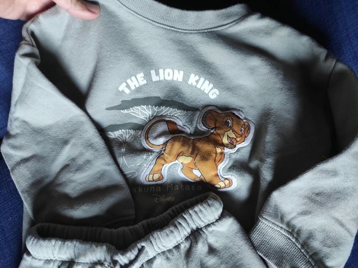 Ensemble roi lion - photo numéro 2