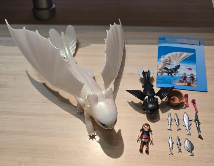 Playmobil dragons 70038 - photo numéro 2