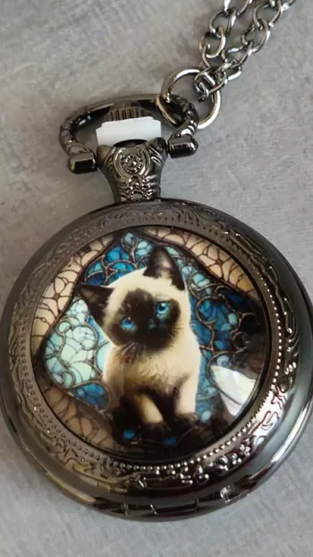 Montre gousset chat