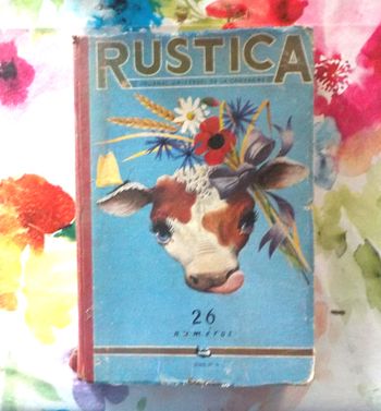 RUSTICA 26 numéros Série 4 - 1954