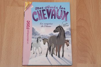 Mes amis les chevaux