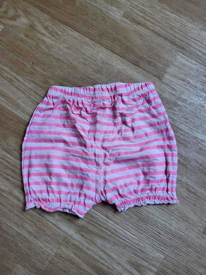 Short rose - photo numéro 2