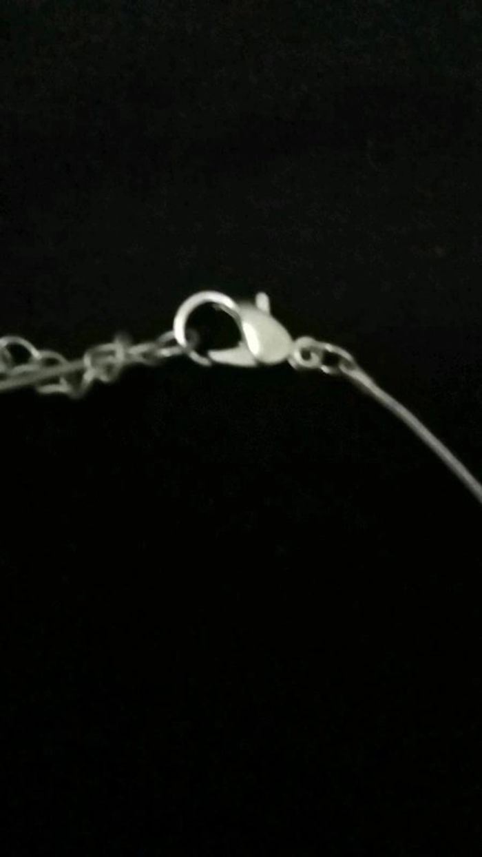 Collier - photo numéro 5