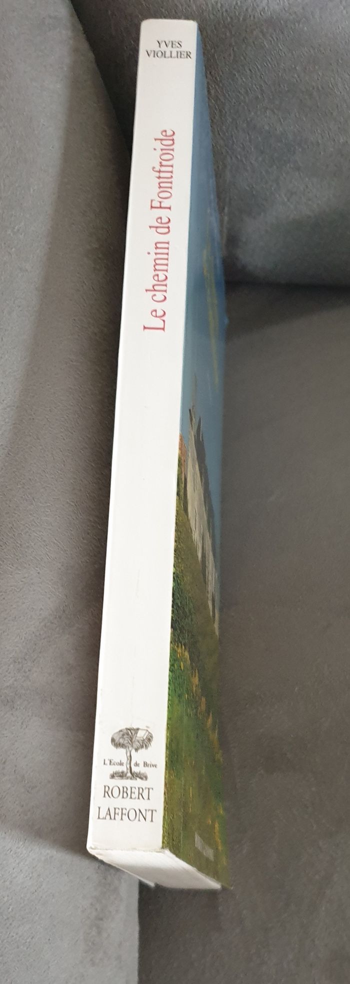 Le chemin de Fonfroide - Yves Viollier - photo numéro 3