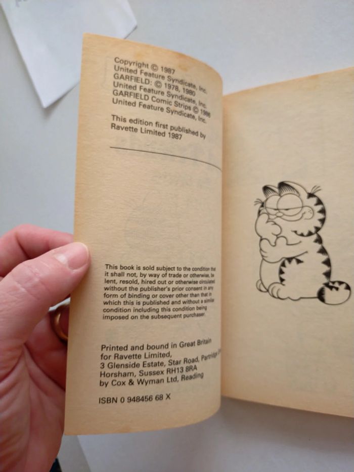 Garfield just good friends - photo numéro 8