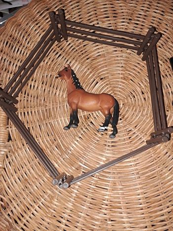 Cheval schleich