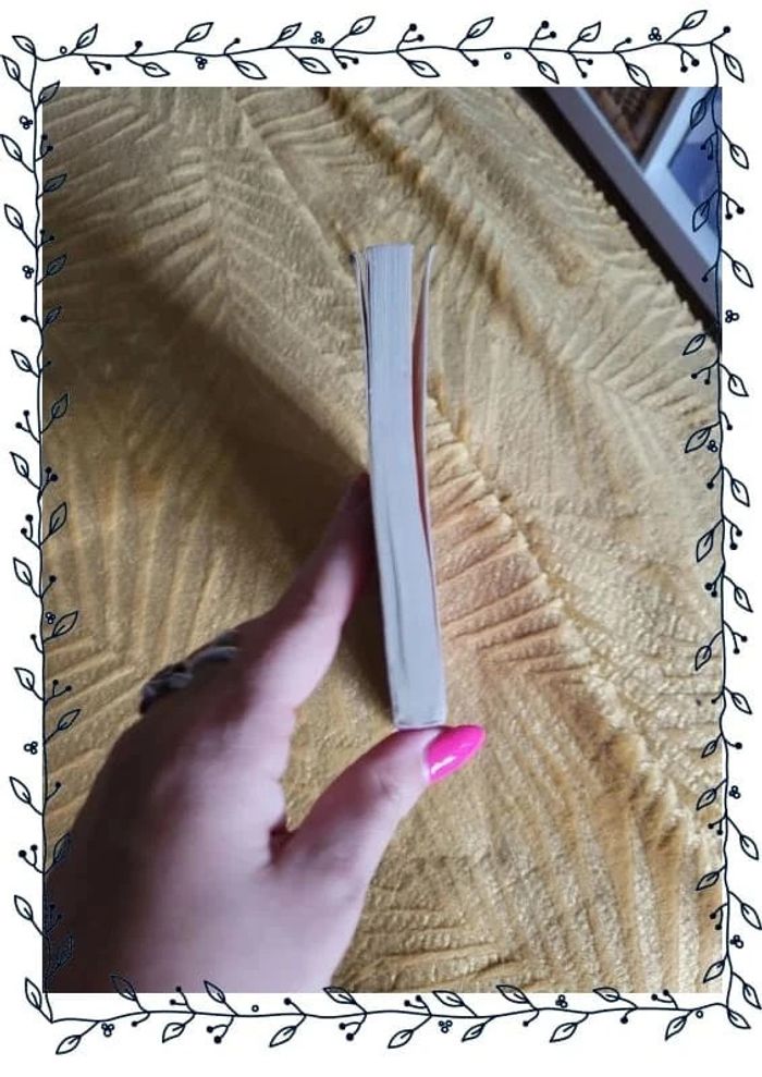 Livre bonjour paresse par corinne majer - photo numéro 5