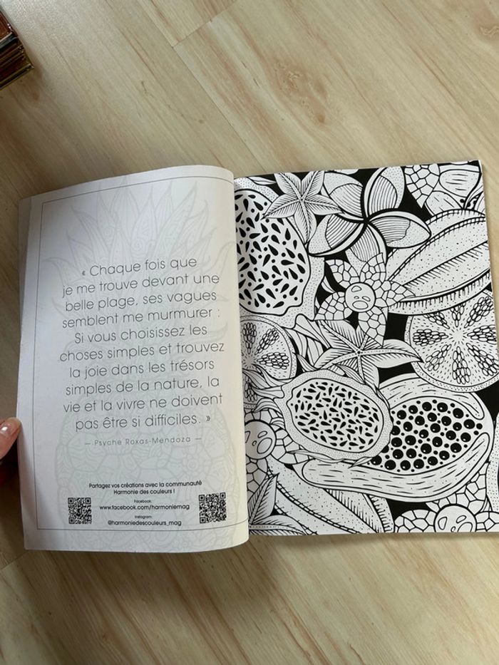 Livre de coloriage - photo numéro 3