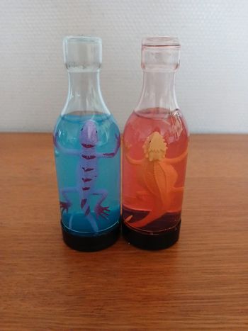 Lot animal dans une bouteille avec slime