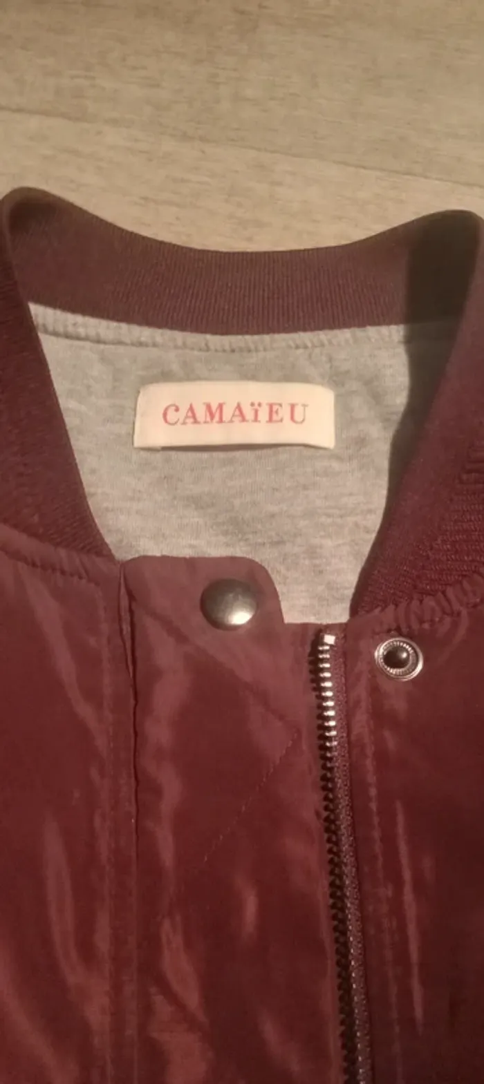 Veste camaïeu - photo numéro 4