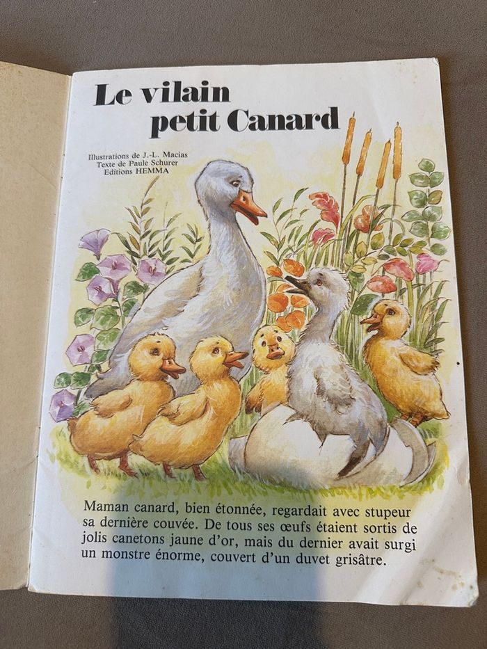 Le vilain petit canard - photo numéro 3