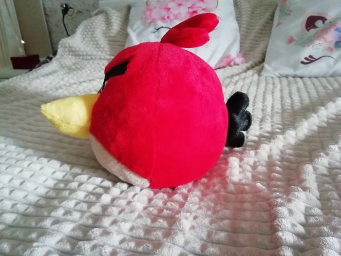 Angrybirds - photo numéro 2