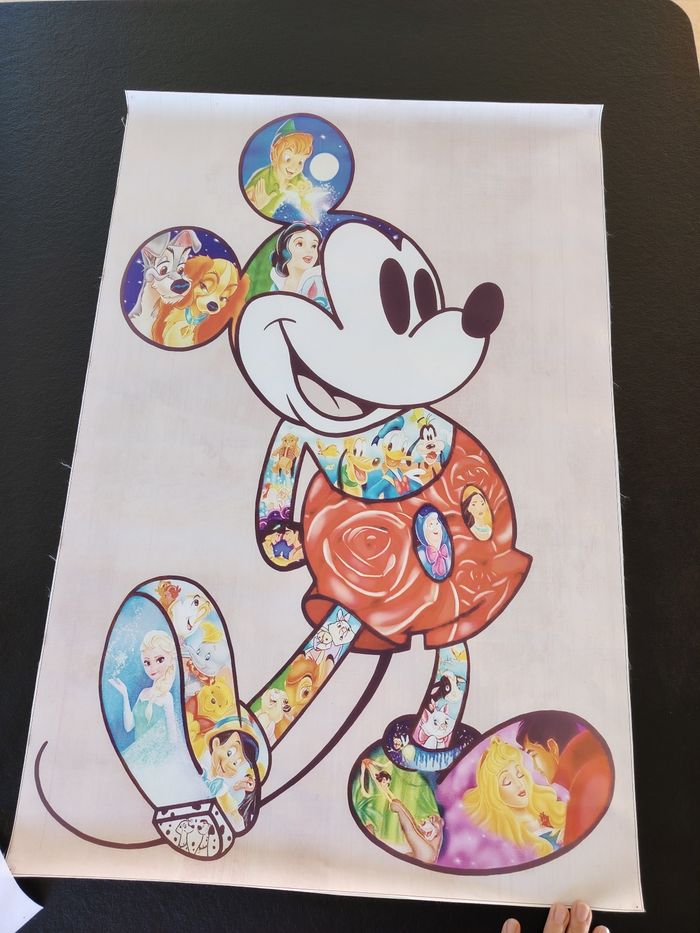 Toile tisser Disney - photo numéro 2