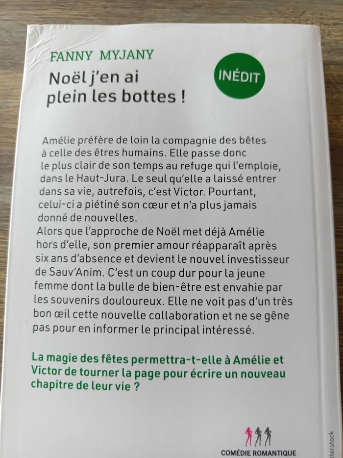 Noël j'en ai plein les bottes ! Par Fanny Myjany - photo numéro 2