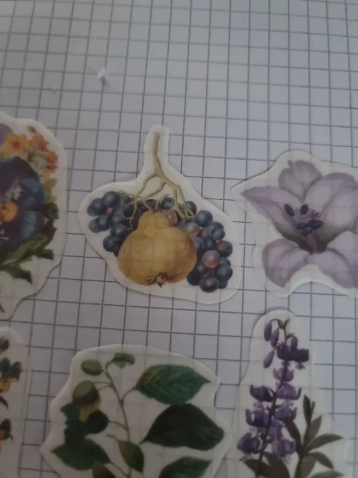 Lot stickers fleuri papier (lot D) - photo numéro 8