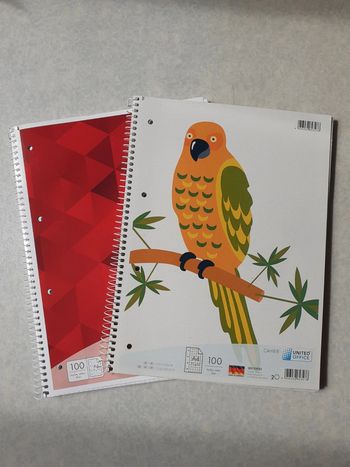 Lot de 2 cahiers A4