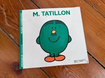Livre Monsieur Madame « M. Tatillon »