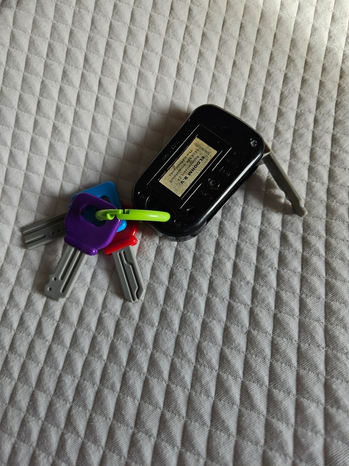 Clés voiture - photo numéro 2