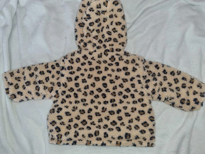 Manteau - photo numéro 5