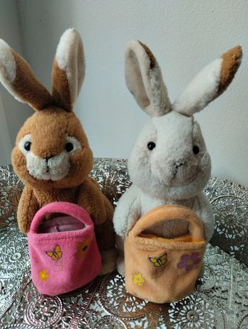 Couple de lapins 💖